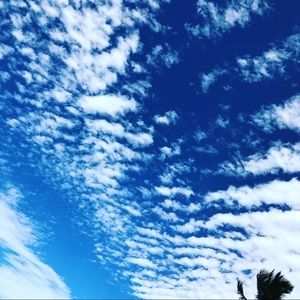 Meet your Posher, Sally